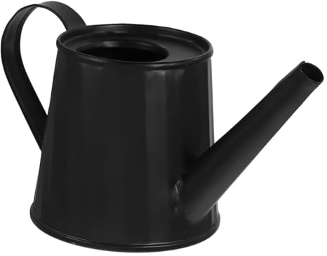 ibasenice Mini Arrosoir en Métal Noir 6x7x7.5 Cm pour Plantes Succulentes D’intérieur, Arrosoir Utile Ergonomique à Long Bec pour Jardinage Intérieur Et Décoration Maison