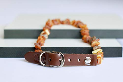 Bernsteinkette für Hunde aus Roh Baltischer Bernstein | Zeckenhalsband | Bernstein Gegen Zecken | Zecken und Flohschutz Halsband (20-25 cm)