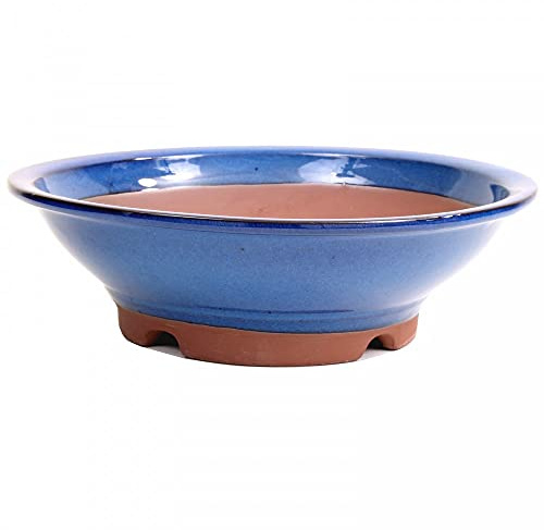 Bonsai - Schale rund 27,5 Ø x 8 cm, blau 30367