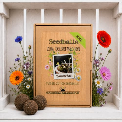 Seedball Baukasten XXL für 100 Samenkugeln zum Selbermachen DIY Set mit 40 Wildblumen Arten und Anleitung ideal für Gruppen und Workshops