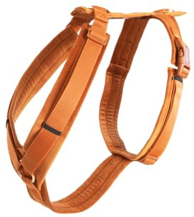 Kentucky - Hundegeschirr aktiv velvet orange M 30-48cm