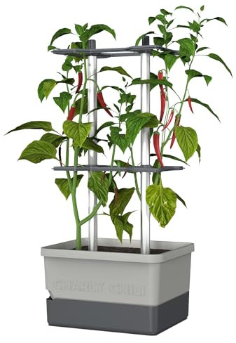 GUSTA GARDEN Charly Chili Chilitopf - Pflanzentopf mit Rankhilfe, Bewässerungssystem & Robustem Rahmen (Hellgrau, Regular)
