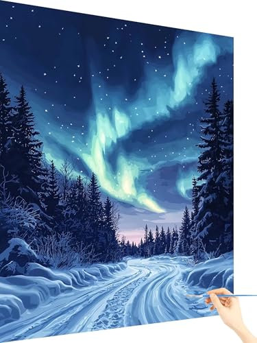 Malen Nach Zahlen Erwachsene Sternenhimmel Malen Nach Zahlen Kinder Aurora, Paint by Numbers Bastelset Erwachsene, DIY Cheerful Painting Kreativ Set Geschenke für Frauen Deko Ohne Rahmen 70x90cm H-32