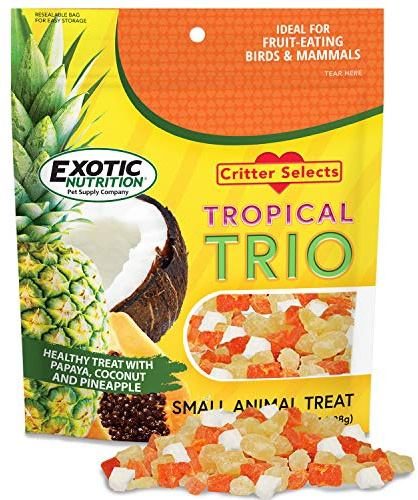 Tropical Trio - Healthy Natural Mixed Dried Fruit Treat - Papaya, Coconut, Pineapple - for Sugar Gliders, Squirrels, Prairie Dogs, Skunks, Marmosets, Parrots, Birds, Rats, Small Pets (4.5 oz.)