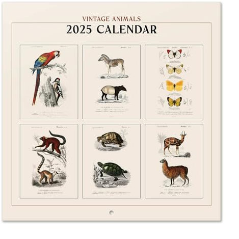 Kalender 2025 Wandkalender 2025 Grupo Erik Vinatge Animals Kalender 2025 Familienplaner 30 x 30 cm 12 Monate Jahreskalender Familienkalender 2025