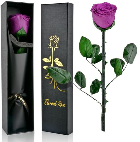 PLECUPE Rose éternelle - Véritable rose Infinity avec tige - Pour femme - Fleur préservée dans une boîte cadeau - Cadeau pour maman, petite amie, pour anniversaire, fête des mères - Violet