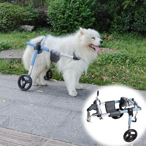 Rullstol för Hund Bakben 4-hjulig Hundrullstol Stor Ras, Medium Assisterad Rollator för Svaga Ryggben, Rörelsehjälp för Hundar Utomhus för Bakbensgång(Blue,S)