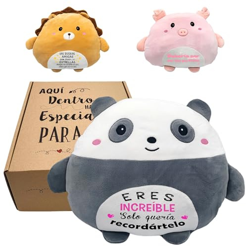 Regalos Mujer Originales | Cojín Peluche con Frase Divertida | Regalo Amiga Cumpleaños | Detalles para Regalar a Mejores Amigas (Panda 3)