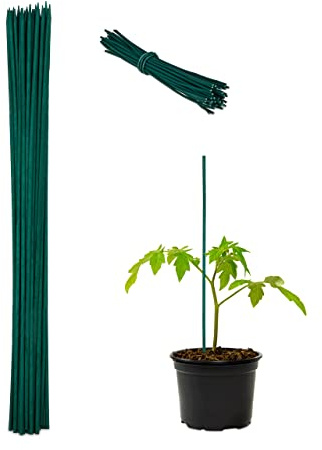 Relaxdays 100 x Pflanzenstab, Bambus, 60cm, Ø 6mm, Anzuchtstab für Gemüse, Blumen Rankhilfe, 50 Bindedrähte, grün