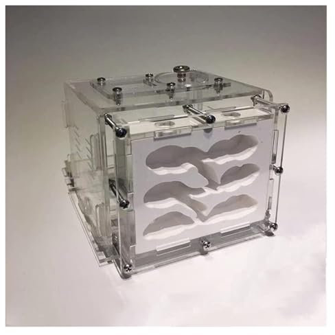 REEKOS Ameisenhaus Ameisenfarm Ameisenburg Ameisennest-Farm DIY Gips Ameisenfarm Gips Ameisennest Mit Fütterungsbereich Befeuchten Ökologische Ameisenwerkstatt Ameisennest Ameisen Zucht Box(M)