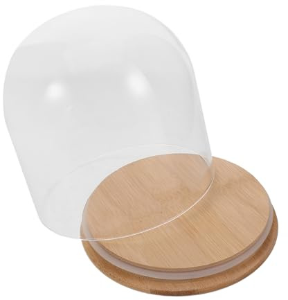 Levemolo de Vidrio Transparente con Base de Bambú Campana con Diseño Elegante para Flores Decoración DIY y Protección contra Polvo Soporte Estable para Exhibición Hogar y Oficina