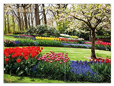 Wallario Herdabdeckplatte/Spritzschutz aus Glas, 2-teilig, 70x52cm mit 8 mm hohen Füßen, für Ceran- und Induktionsherde, Bunte Blumen und Kirsch-Baum im Park blühen im Frühling