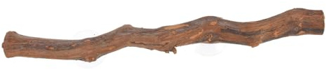 JOINPAYA Jouet Dragon Barbu en Bois De Vigne Résistant Morsures, Branche d'arbre pour Reptiles, Support Escalade Medium, Décor Terrarium pour Lézards Petits Reptiles