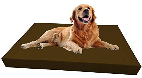 Barry & Lucy® Hundebett aus Kunstleder – Orthopädisches Hundekissen mit abnehmbarem Bezug wasserabweisend & pflegeleicht in 2 Größen Robustes Bett (125x100x10, braun)