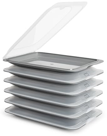 PracticDomus Porta Embutidos y Alimentos Sistema Fresh, Conservación Óptima de Lonchas en Nevera (6X Gris)