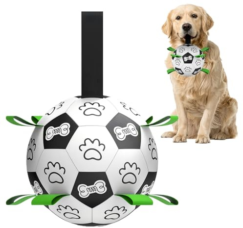 Qkbuza Hundeball – lustige Spielsets, interaktives Hundespielzeug – für Outdoor, Park, Hinterhof, Spielzeit, Familienübung, Erholung