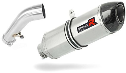 DOMINATOR Terminale di Scarico Marmitta Silenziatore HP1 compatibile con R1200R 2006-2009