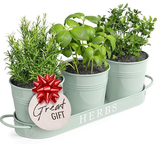 Barnyard Designs Kräutertopf-Pflanzgefäß-Set mit Tablett für den Innen-, Garten- oder Außenbereich, weiches mintgrünes Metall, (3er-Set, 11 x 10 cm Pflanzgefäße auf 32 x 10 cm Tablett)