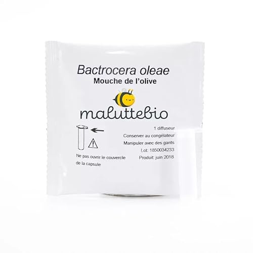 Maluttebio Pheromone Mouche de l’Olive - Traitement Mouche de l’Olive Jusqu’à 10 Semaine - Naturel à Base de substances secrétées par Les Femelles – Compatibles avec piège à phéromones, 100% Efficace