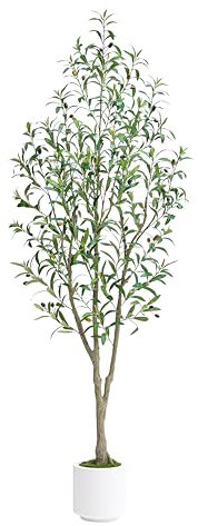 Artificial Olive Tree 6FT Tall Faux Olive Silk Plant with White Planter, Artificial Plants Home Office Decor Indoor Fake Potted Tree with Natural Wood Trunk and Lifelike Fruits Housewarming Gift