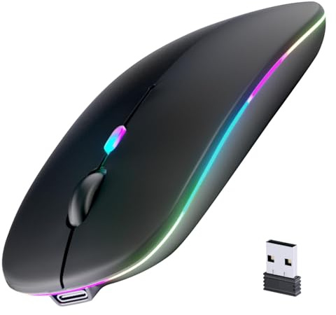 Wireless Bluetooth Mouse, Rechargeable, LED, Silent, Ultra-thin Design (Bluetooth 5.2 and 2.4GHz USB Receiver) | Portable Computer Mouse for Laptops, iPads, MacBooks and Apple Devices (Black)