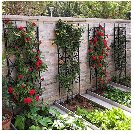 Treillis de jardin en fer robuste pour plantes grimpantes - Panneau en treillis métallique pour légumes et fleurs - 30 x 180 cm