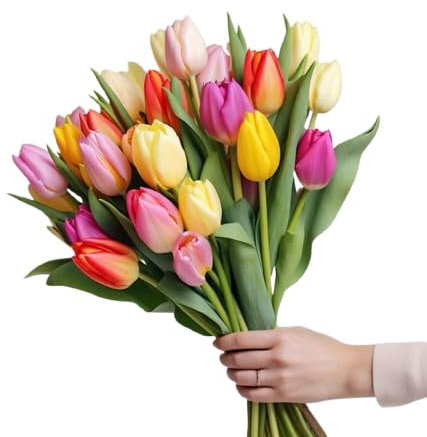 DECOALIVE - Ramo de 50 Tulipanes Mix Color - Bouquet de Flores Naturales Frescas