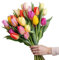DECOALIVE - Ramo de Tulipanes - Set 50 Flores Mix Color - Bouquet de Flores Naturales - Flores Frescas Online