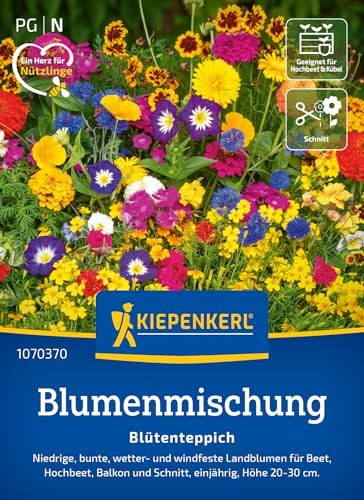 Kiepenkerl Blumensamen-Mischung Blütenteppich 1070370 - Wetterfeste Blumenmischung für Garten & Hochbeet - Wildblumensamen, Blumenwiese, Saatgut