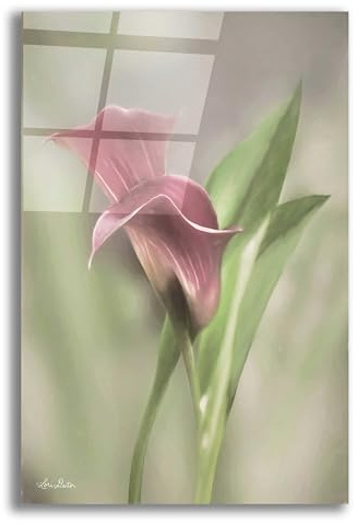 Epic Art 'Pink Calla Lily' by Lori Deiter Acrylic Glass Wall Art, 16x24