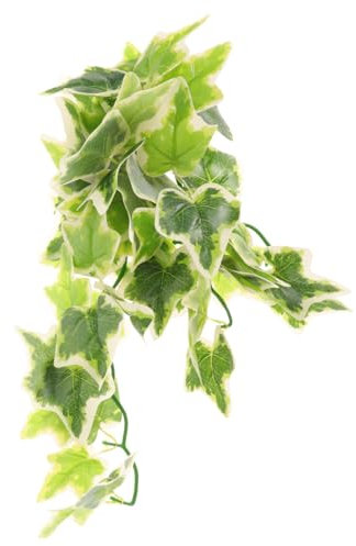 VILLFUL Decorazione Per Terrario Con Piante Artificiale Per Rettili Pianta Simulata Plastica Per Acquario e Habitat Di Tartarughe Design Realistico e Sicuro Facile Da Pulire Colore e
