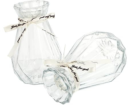 Alipis 1 Juego 1 Juego De Jarrones De Vidrio para Manualidades Hidropónicas Jarrón De Pared Jarrón Plantas Hidropónicas Y De Piso De 2 Piezas