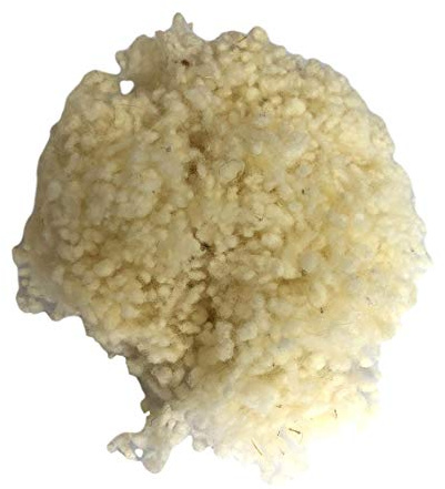 Füllung für Kissen Wollfüllung für Kopfkissen Füllmaterial aus 100% Wolle (650, Merinowolle)
