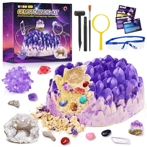 Edelstein-Grabset, 12 Fossilien, Geode, Kristallzucht, STEM Geologie, Lernspielzeug für Jungen und Mädchen ab 3 Jahren, wissenschaftliche Steine und Steine, Ausgrabungs-Sets für Kinder im Alter von 3