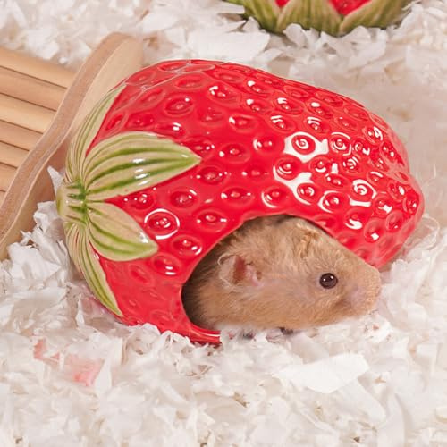 Zhilishu Ceramic Hamster Hideout, Strawberry Hamster House and Habitat, Syrian Hamster Hideout Decor Cool Bed for All Season Gerbil, Mice Guinea Pig
