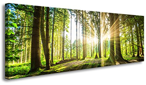 Visario Leinwandbild grüner Wald im Gegenlicht — stimmungsvolles Panorama Wandbild auf Leinwand fertig gerahmt — 120x40 cm 5730