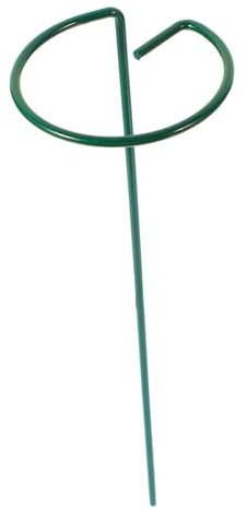 INOOMP Supporto da Giardino per Piante Rampicanti Supporto in Metallo per Piccole Viti in Vaso Rampicante Circolare da 10 Pollici Traliccio da Giardino per Esterni