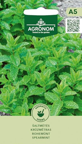 AGRONOM |Menta verde - Semi | Semi di fiori | Piante perenni, alte 80-90 cm | Adatte per vasi e giardini di erbe aromatiche | Semi di piante | Semi da giardino | 1 confezione