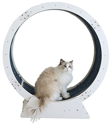 Katzen-Laufrad, Hölzernes Katzen-Übungsrad zum Abnehmen, Katzenbaum-Turm zum Laufen, Drehen und Kratzen, Katzenlaufband mit leisen Riemenscheiben, Anti-Klemm-Laufrad (Größe: großer Durchmess