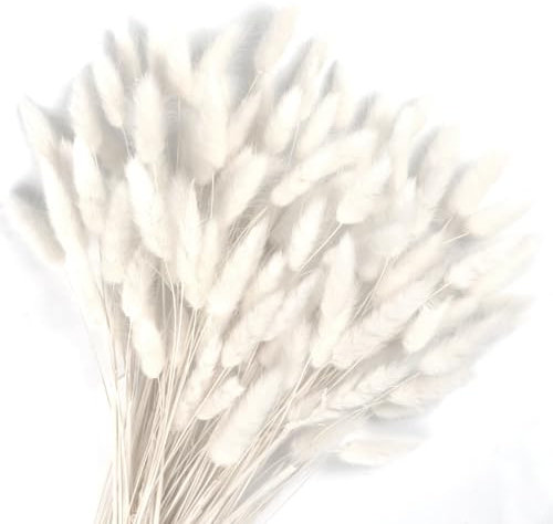 Songjum 120 Pièces Fleurs SéChéEs Queues De Lapin Herbe De Queue De Lapin pour Fleurs SéChéEs Herbe De Queue De Lapin Séchée pour Décoration De Maison Mariage (Blanc)