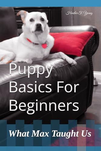 Puppy Basics For Beginners: What Max Taught Us