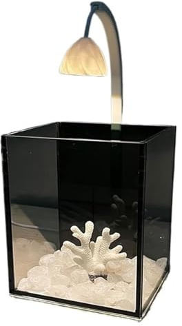 CSYQPDMBDL Kugelaquarium, Goldfischglas, Fischschale Glasaquarium for einen kleinen Fisch Desktop kleines Aquarium mit Lichtern Heimdekoration Aquarien