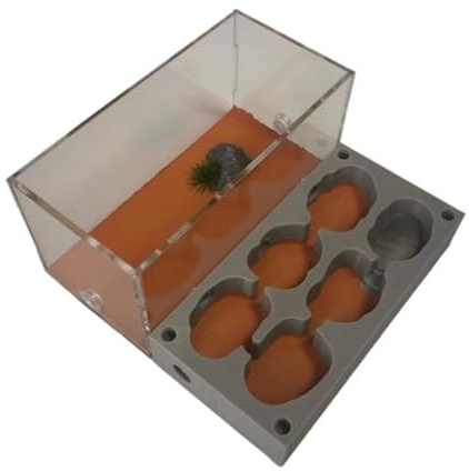 Il nido delle formiche, Nido di formicaio Castello di formicaio trasparente Nido di formicaio Fattoria di formiche e formicaio Regina Kit di apprendimento for formiche Casa delle formiche