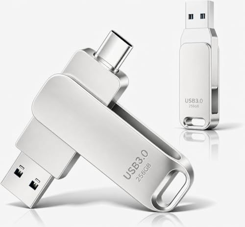 Memoria USB-C de 256 GB, pendrive USB 3.0 de Alta Velocidad, Memoria USB Tipo C y USB 3.0 OTG 2 en 1, Disco Duro Externo con Carcasa metálica Plateada para Smartphone, PC y Mac