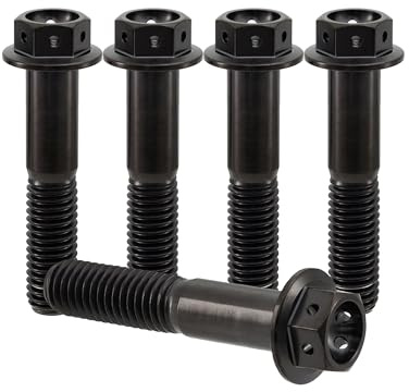 RISON-Titanium 5 Stück Titanschrauben M8x1.25x25mm, Titan Flansch Schrauben Sechskantschraube, Titan Schrauben Bolzen Bremssattelschraube Motorradschrauben Autoschrauben