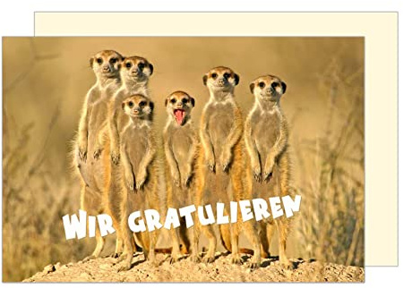 Edition Seidel Premium Allgemeine Glückwunschkarte mit Umschlag. Geburtstagskarte Grusskarte Billet Happy Birthday Glückwünsche Wir Gratulieren Mann Frau witzige Tierkarte Erdmännchen (G3210 SW023)