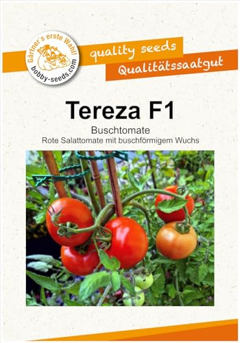 Tomatensamen Tereza F1 Salattomate Portion