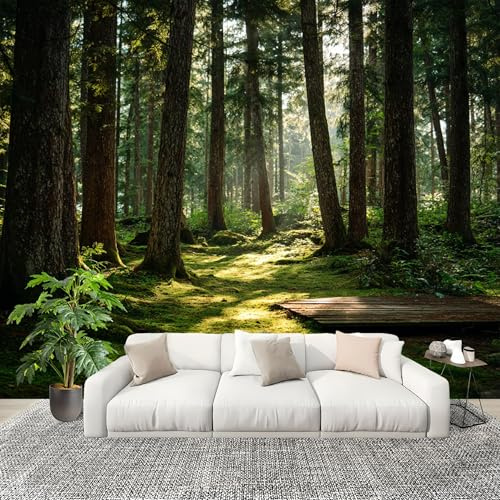 Papel Pintado Salón Dormitorio Paisaje de Bosque Soleado - Fotomurales Pared Tejido No Tejido Decorativos Murales Paisajes Naturales Fotográfico Moderno Decoración de Paredes (250x175 cm)