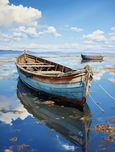 Bote Diamond Painting, 5D Diamond Painting Adultos Paisaje, DIY Manualidades Adultos Kit Punto de Cruz, Cuadro Diamantes Cristal Bordado Artesanía, Decoración Hogar, Regalo Mujer 50x65cm fjh-9360