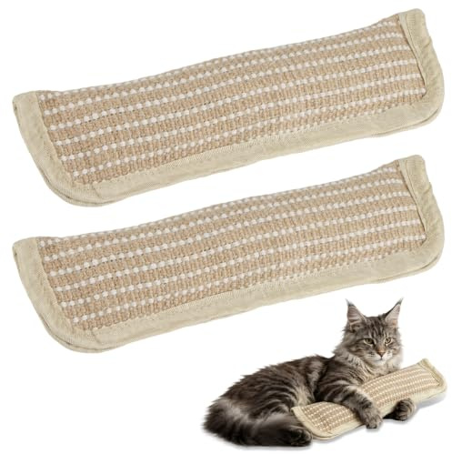 Lot de 2 Jouets pour Chat Coussin à l'herbe à Chat Naturelle et Sisal